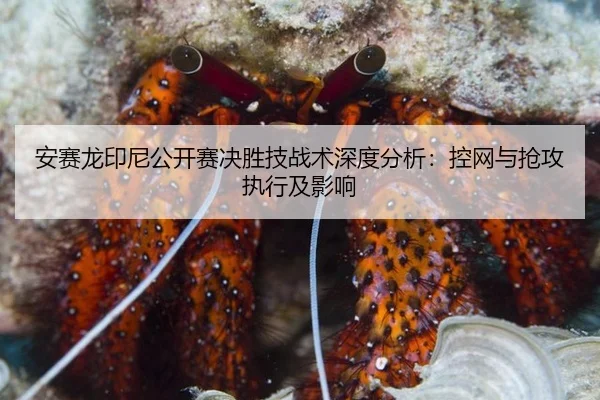 an-sai-long-yin-ni-gong-kai-sai-jue-sheng-ji-zhan-shu-shen-du-fen-xi-kong-wang-yu-qiang-gong-zhi-xing-ji-ying-xiang-2-949.jpg